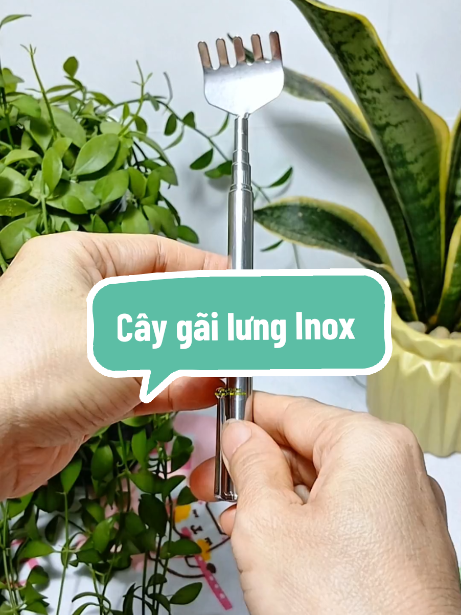 Cây gãi lưng Inox kéo dài rút gọn 50cm #vycuocsongthoitrang #caygailung #caygailunginox #xuhướng #thinhhanh @Vy Cuộc Sống-Thời Trang @Vy Cuộc Sống-Thời Trang @Vy Cuộc Sống-Thời Trang 