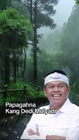Papagah Kang Dedi Mulyadi Dina Ilmu na Tauhid #kdm #tik #tok #pyf #gubernurjawabarat 