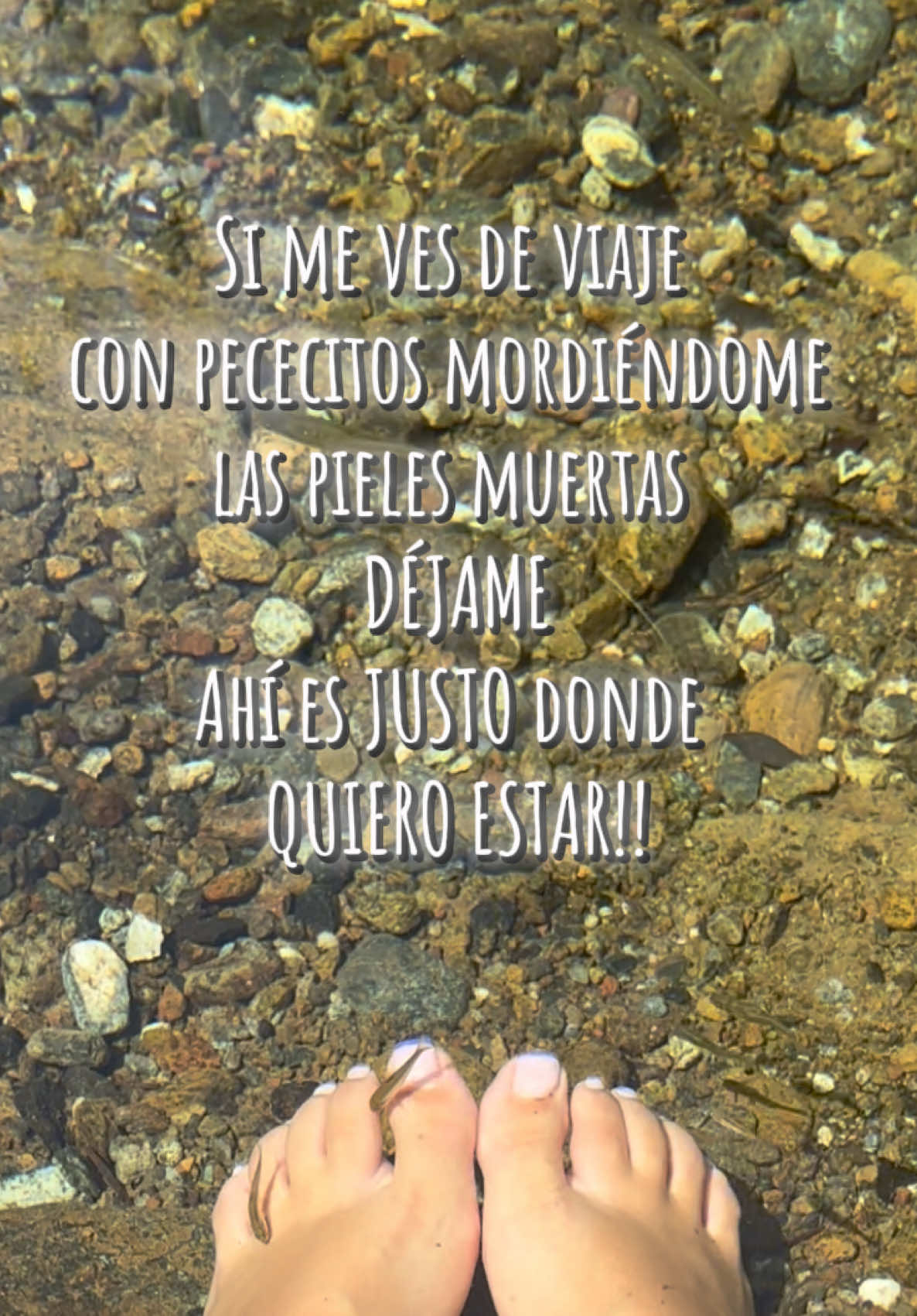 Si para SIEMPRE!! Con mi enlace de AlohaCamp os doy 20€ de descuento en primeras escapadas!!💕 https://r.alohacamp.com/mamenrvera1 @AlohaCamp España #alohacamp #camping #escapada #campinglife #pozas 