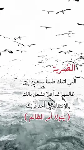 #اقتبسات 