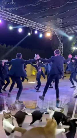 Lovely Dance #fyp #dancer #loveyou #happydance #vairalvideo 