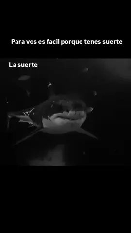 #vida #muerte #poemas #animales#viral