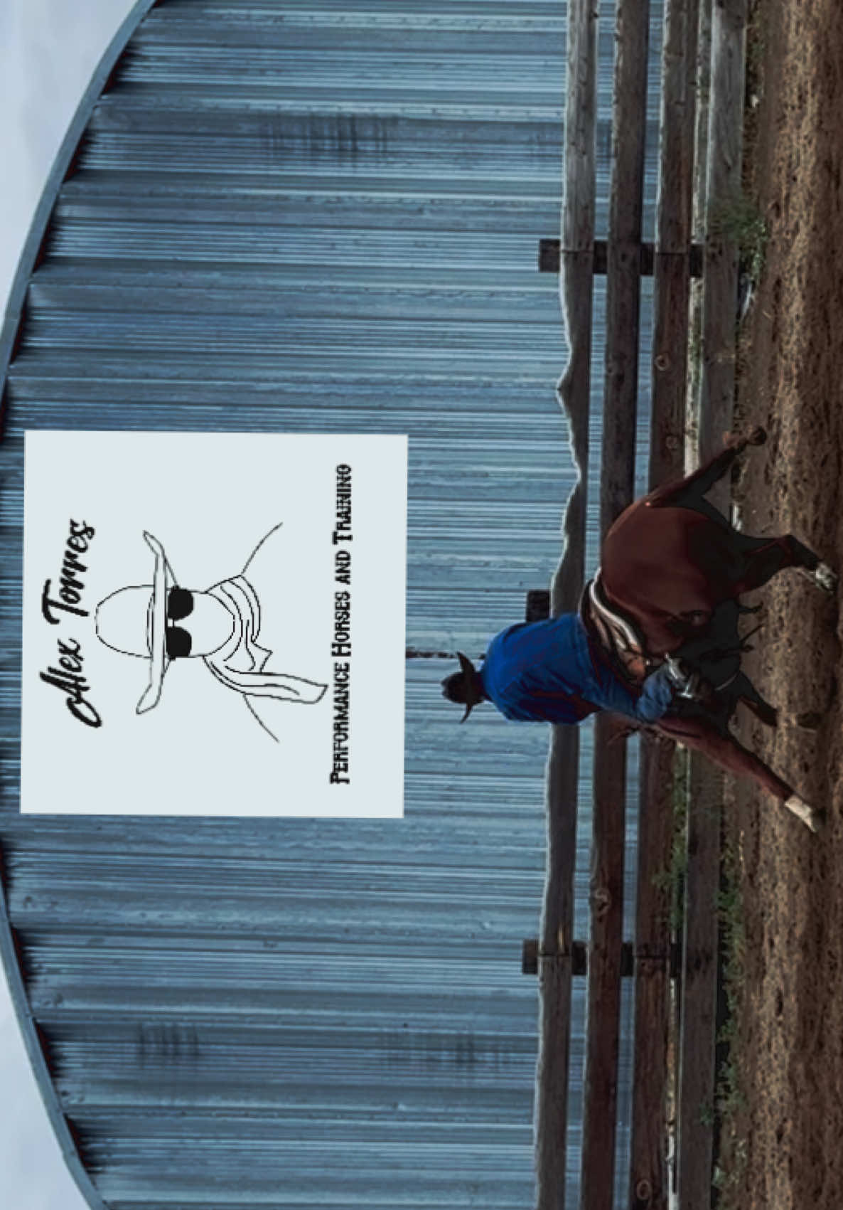 Just some of the daily around here! #fyp #cowhorse #futurityprospect 