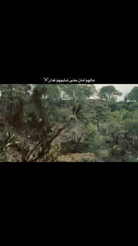 #الحياني 