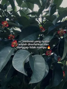 #CapCut  #katakata #fakta #nyata #pyfツ 