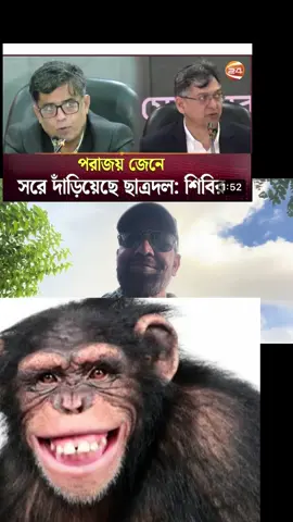 বিএনপি বানরের দল #bangladesh #viral #politicaltiktok #fyp #