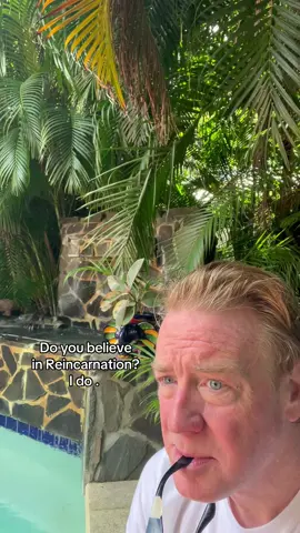 Ca Caw Ca Caw #reincarnation #redheads #pileatedwoodpecker #afterlife #crazythoughts 