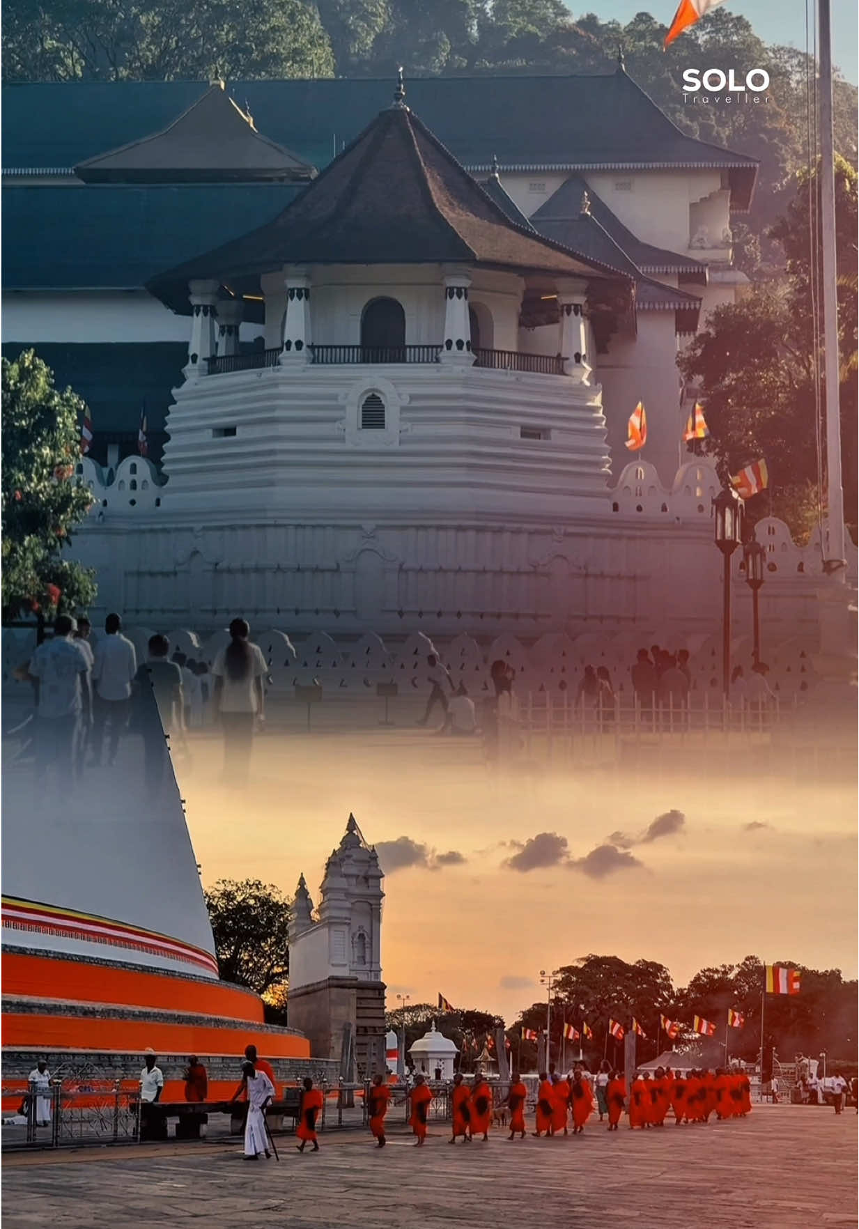 කෙලෙහිගුණ දන්න මිනිස්සු හරි දුර්ලභයි.. 🙏☸️🌷 | #buddhism #sridaladamaligawa #ruwanweliseya❤️☸️🙏 #solotraveller #visitsrilanka🇱🇰 
