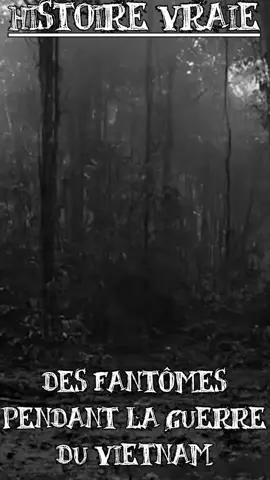 Durant la guerre du Vietnam les Américains ont tenté de faire croire à l'ennemi que des fantômes se cachaient dans la jungle. Et ce, avec l'aide d'experts du cinéma. Le pire ? C'est que ça a marché ! Et si vous voulez entendre un de ces enregistrements, cherchez 