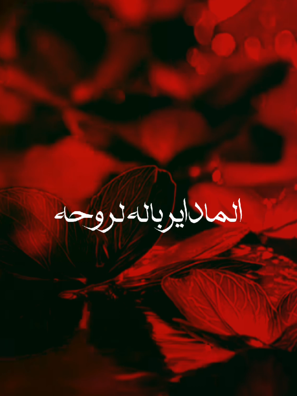 الماداير باله لروحه ❤️‍🩹🌿                               #سيد_فاقد  #سيد_فاقد_الموسوي__جديد 
