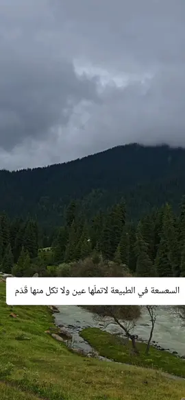#ترند #السعودية #تصويري #سفر 