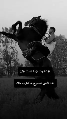 #creatorsearchinsights#اكسبلور #العاشق_الخيل🐎#عبارات #اقتباسات 