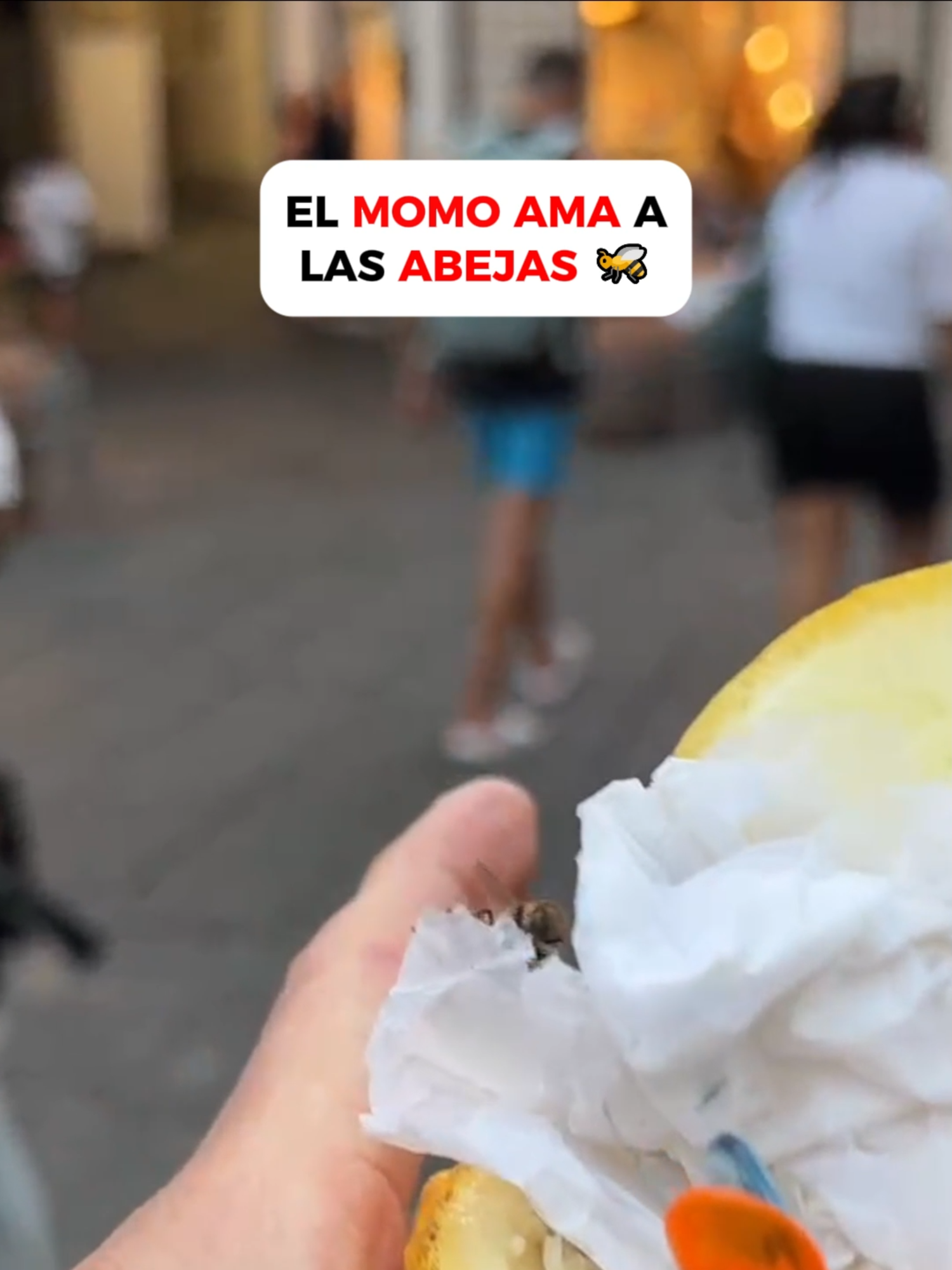 El momo ama a las abejas 🐝#momo #geromomo #kickstreaming #kick