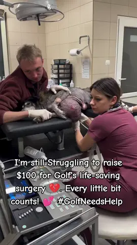 Heartbreaking update on Golf 😔💔... Despite my best efforts, I couldn't raise the $50 needed for her vet visit 🤕💸. I'm reaching out for help - every little bit counts! 💕 Can you spare a few dollars to give Golf a second chance? 🐴❤️ #GolfNeedsHelp #DogRescue #DonateToday