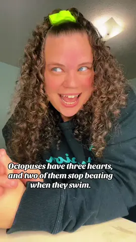 Imagine having 3 hearts and one just quits whenever you swim 😭🐙 #randomfacts #DidYouKnow #funfact #weirdbuttrue #mindblown 