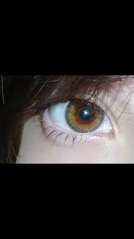 у меня жоска выросли ресницы пользуйтесь сыворотками внатури #hazeleyes #eyelashes 