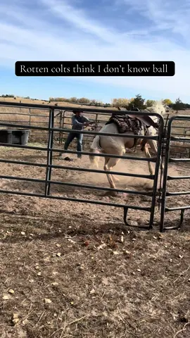 Idea from @Jonny Hursh   Disclaimer: I don’t twist em like I used too. A few pounds and some injuries took care of that 😂 #fyp #foryoupage #coltstarting #cowboy #nebraska 