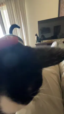 the shape goes into the shape press