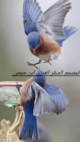 الحمدلله #حكمة_وذكاء 