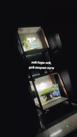 #dangdut #xyzbca #fypシ #fyppppppppppppppppppppppp #trageditalikikutang 