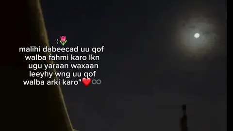 #naja_heyy🖤🌷 #💘💘💘💘💘💘💘💘💘💘💘💘💘💘💘💘💘💘💘💘🦇🦇🦇🦇🦇🦇🦇🦇💘💘💘💘💘💘🦇 #viewsproblem #foryoupage #fypシ゚ 