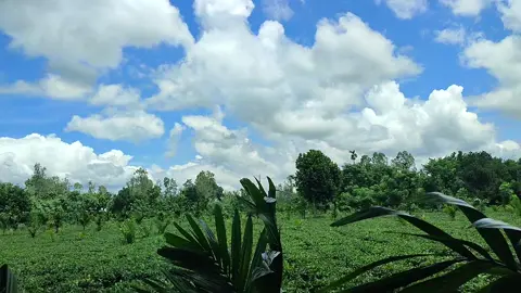 নিজেকে শান্তনা দিতে পারাটা পৃথিবীর সুন্দরতম ক্ষমতা.!#followers #everyone #newtrend #foryoupage 