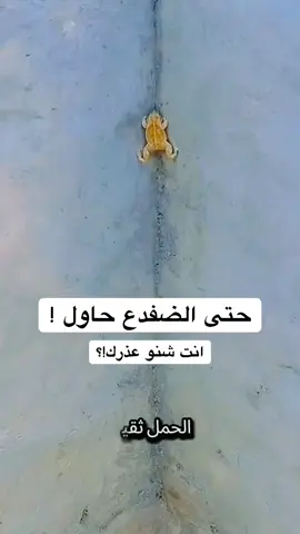 #اكسبلور #fyp #foryoupage #مشاهير_تيك_توك #مشاهدة 
