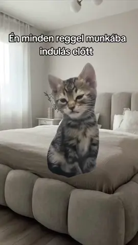 😁😆