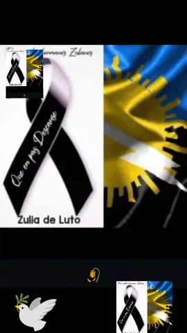 #creatorsearchinsights ZULIA MARACAIBO de luto 🕊️🕊️#LIVEIncentiveProgram #LIVEwithlowfollowers #PaidPartnership 