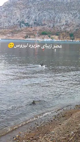 یونان 🇬🇷جزیره