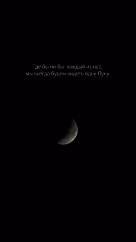 До 🌙 #shamiofficialll#долуны#фан_аккаунт_Shami 