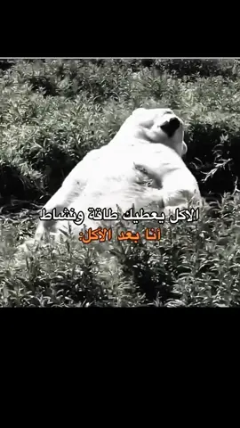 #ميمز #اصولللللللللل #fyp 
