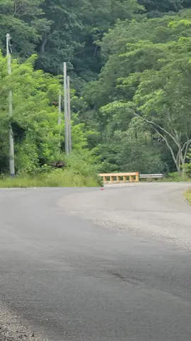 Transporte cotasyl #46 Toyota Coaster  Pasando por el triunfo cuyamapa con destino hacia san pedro sula cortes Honduras  #Busologos #Yoreños  #toyotacoaster  #fypviralvideo🇭🇳🚍❤️  📸AlexRodriguez455 