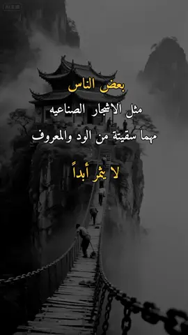 #وحـᬼـيـد⍣⃟🍷𓆩💔𓆪ᵛ͢ᵎᵖبدنيتيོ #تصميم_فيديوهات🎶🎤🎬 #اكسبلورررررررررررررررررررر💥🌟💥🌟💥💥🌟🌟🌟🌟🌟 
