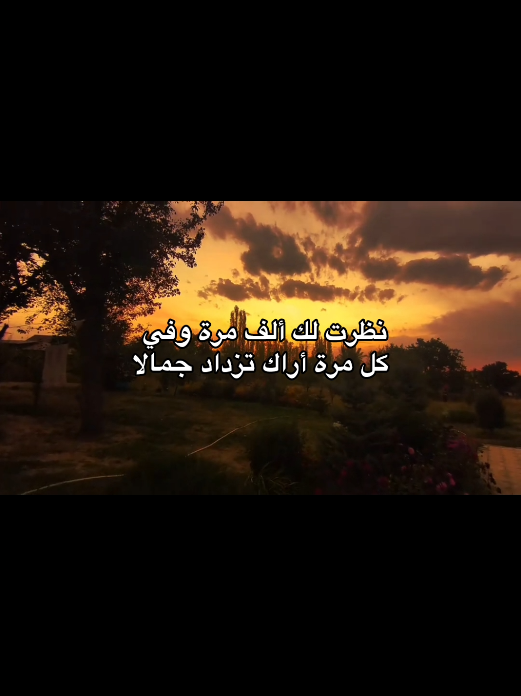 #اقتباسات #عبارات #lovequotes #spidey  #foryoupage 