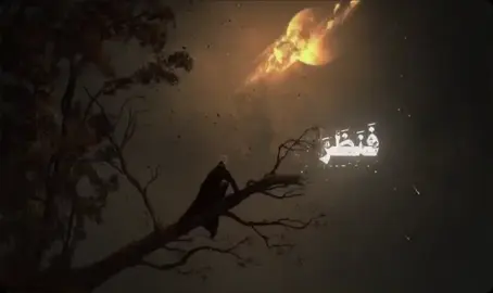 #قران 