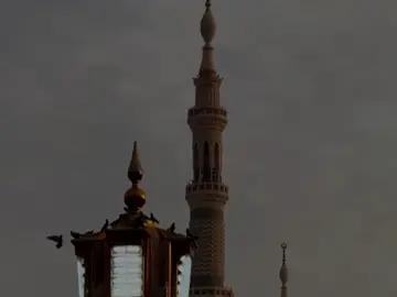 إخسر كل شيئ إلا علاقتك مع الله  #كلام_من_ذهب #عبارات #خواطر #fyp 