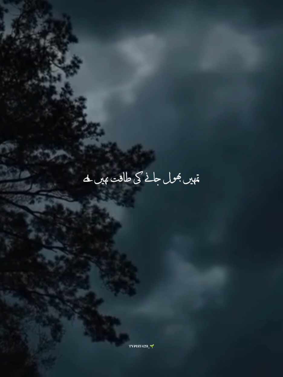 Tumhain Bhool Jany Ki Taqat Nahi Hai🌱 #Nfak #Foryoupage #Adil420 