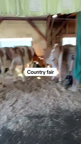 #paratiiiiiiiiiiiiiiiiiiiiiiiiiiiiiii #fyppppppppppppppppppppppp #countyfair #relationships #dateideas 