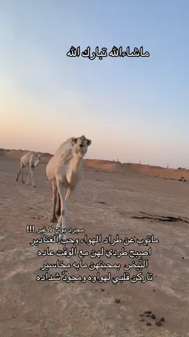 مجرد بوح لأغير !!! #عذب_القصيد #بوح_المشاعر #خاطره #المغاتير_الوضح_الشعل_الصفر #عاشق_الوضح 