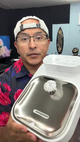 No more filters cat water fountain #cat #catsoftiktok #cats #catlover #cattok 