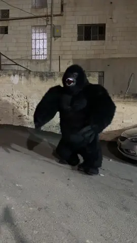 #السلايمه🦅👑 #ابوجود #الضاحية #بيتحنينا #غوريلا🦍 