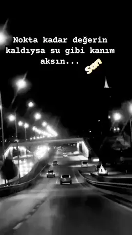 SENİ SEN GİBİLER SEVSİN 