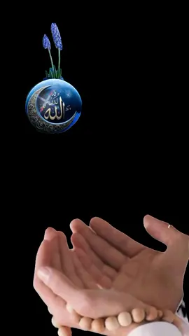 #اللهم #فی_صباح #یوم_الجمعہ  #🤲🤲🤲 #يـــــــــــــــــــــــــــــــــــــارب 