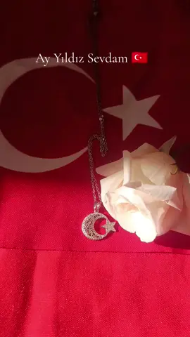 #keşfetteyizzzzzzzzzzz #tiktokkkkkkkkkkkkk 🤘🇹🇷🐺🤘🇹🇷