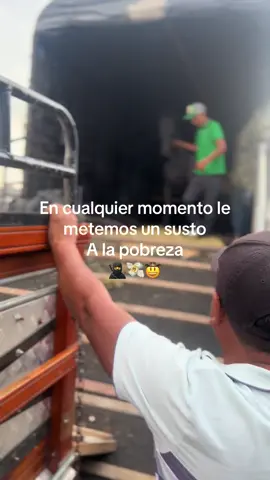 #paratiiiiiiiiiiiiiiiiiiiiiiiiiiiiiii 