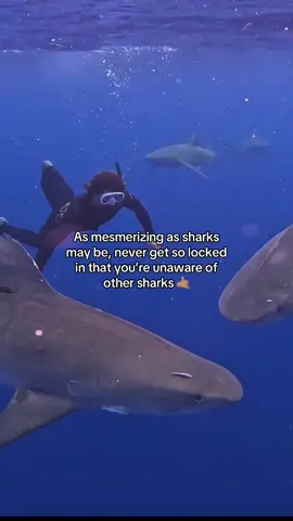 Shark awareness and conservation have become increasingly important in recent years and we must all work to protect these magnificent creatures and preserve their habitats. The first step in creating awareness is debunking the myths and misconceptions surrounding sharks. Contrary to popular belief, sharks are not mindless killers but intelligent and  complex animals that have been around for millions of years. One of the main reasons for shark population decline is overfishing. Sharks are often caught as bycatch in commercial fishing operations, and their fins are highly sought after for shark fin soup, a delicacy in some Asian countries. This practice, known as shark finning, involves cutting off the shark's fins and discarding the rest of the body back into the ocean, leading to an unsustainable and wasteful practice. Habitat destruction also poses a significant threat to sharks. Pollution, coastal development, and climate change are all factors that contribute to the destruction of of essential shark habitats such as coral reefs and mangroves. These habitats provide feeding and breeding grounds for many shark species, and their destruction can have severe consequences on their populations. Conservation efforts are crucial in reversing the decline of shark populations. Many organizations and individuals are working tirelessly to protect sharks and their habitats. Conservation initiatives include the establishment of marine protected areas, implementing fishing regulations and bans on shark finning, and promoting sustainable fishing practices. Education and awareness campaigns are also essential in shark conservation. By educating the public about the importance of sharks and dispelling myths, we can reduce the fear and misconception surrounding these creatures. Encouraging responsible tourism, such as teaching safety and coexistence considerations via guided shark diving can also help generate support and respect for sharks. #sharkweek #tigershark #shark #sharks #avi