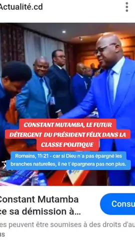 CONSTANT MUTAMBA, LE FUTUR DÉTERGENT  DU PRÉSIDENT FÉLIX DANS LA CLASSE POLITIQUE