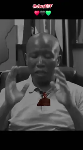 viva EFF Viva. #fyp #popular #politics #effsouthafrica♥️💚🖤 #JuliousMalema4President 
