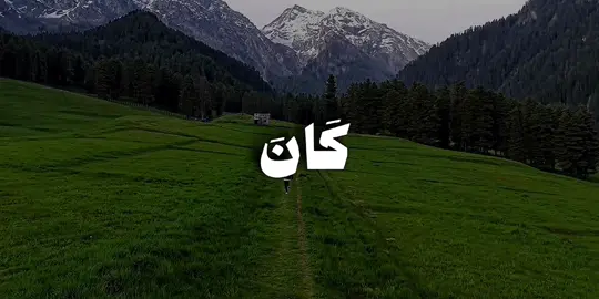 وَمَا كَانَ لِنَفۡسٍ أَن تَمُوتَ إِلَّا بِإِذۡنِ ٱللَّهِ كِتَـٰبࣰا مُّؤَجَّلࣰاۗ وَمَن یُرِدۡ ثَوَابَ ٱلدُّنۡیَا نُؤۡتِهِۦ مِنۡهَا وَمَن یُرِدۡ ثَوَابَ ٱلۡـَٔاخِرَةِ نُؤۡتِهِۦ مِنۡهَاۚ وَسَنَجۡزِی ٱلشَّـٰكِرِینَ﴾ [آل عمران ١٤٥] #صالح_الأنصارى #سورة_ال_عمران #قران #quran 